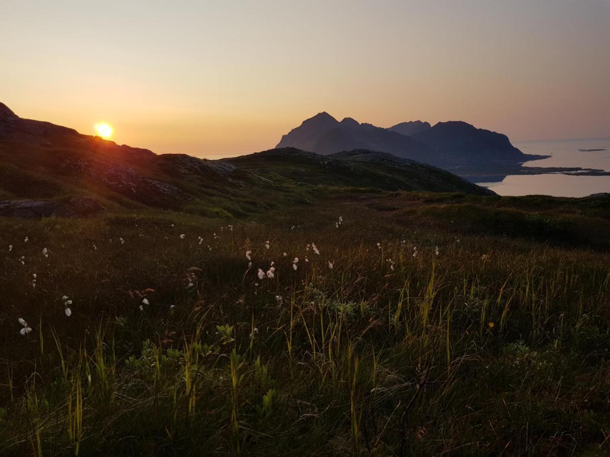 Villa Walter Lofoten With Sauna Kvalnes (Vestvagoy) Exterior foto